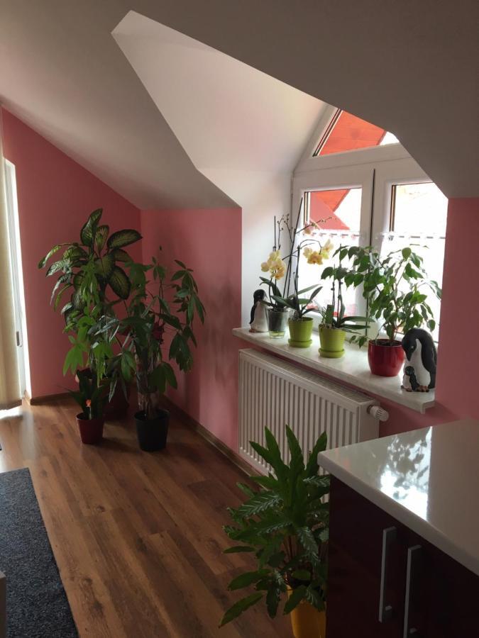 Privat Daniela Strba Apartment Exterior photo